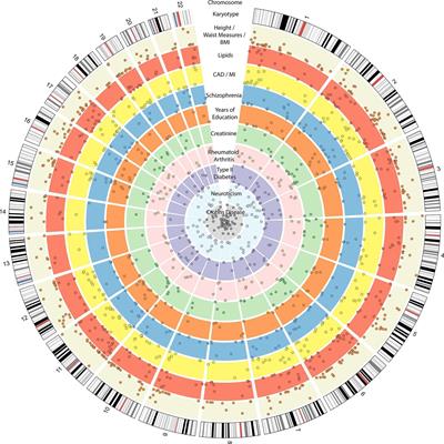 Integrative Bioinformatics Approaches for Identification of Drug Targets in Hypertension